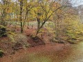 k-20241107_131647